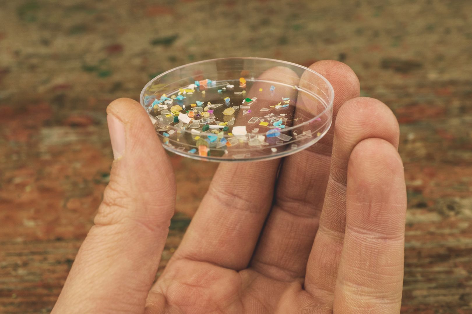 Immagine copertina Reporting IUCLID6 e REACH-IT per le microplastiche: il servizio completo di adeguamento Fòrema