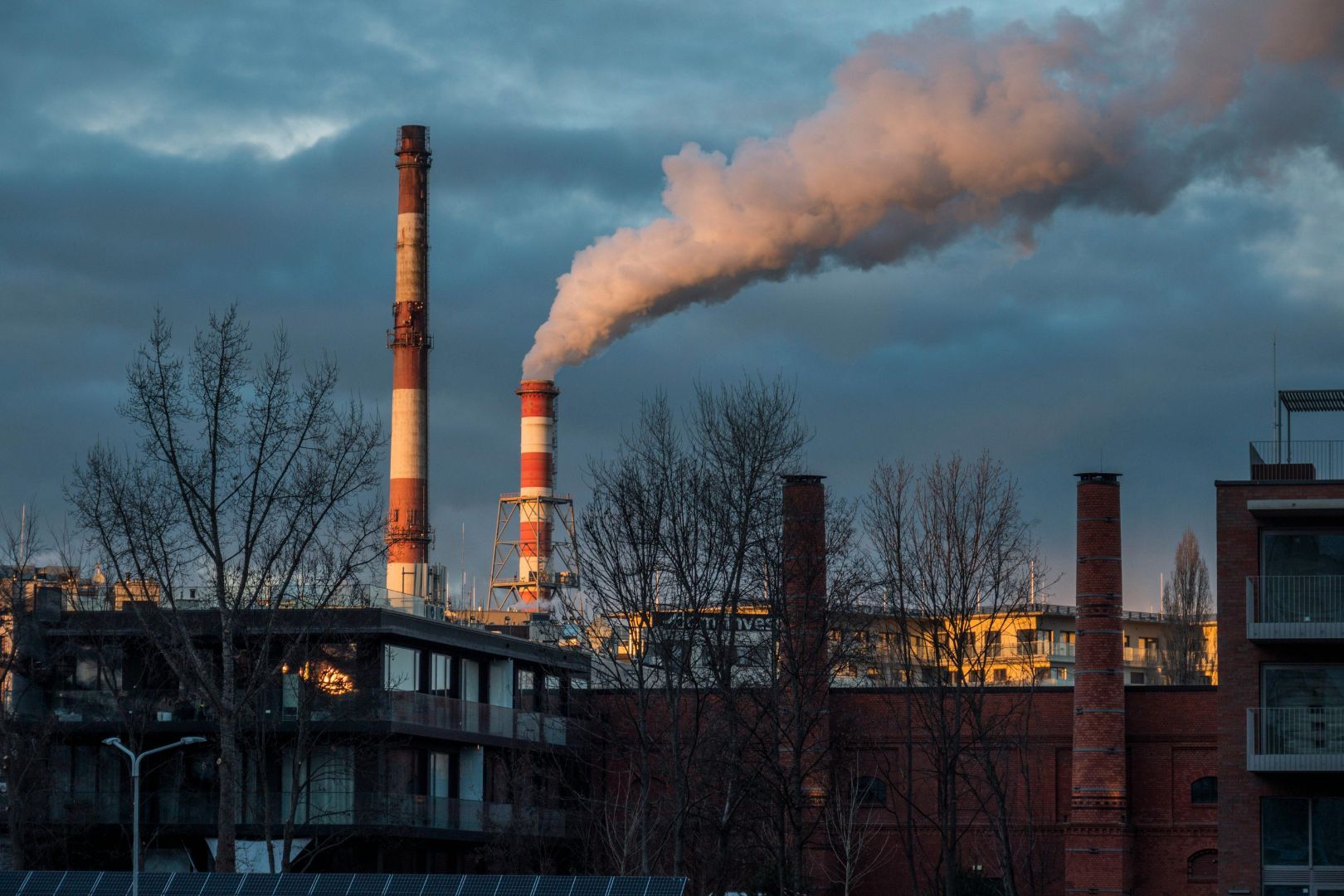 Immagine copertina Tutela penale dell’ambiente: introduzione di nuovi reati e modifiche al Codice penale