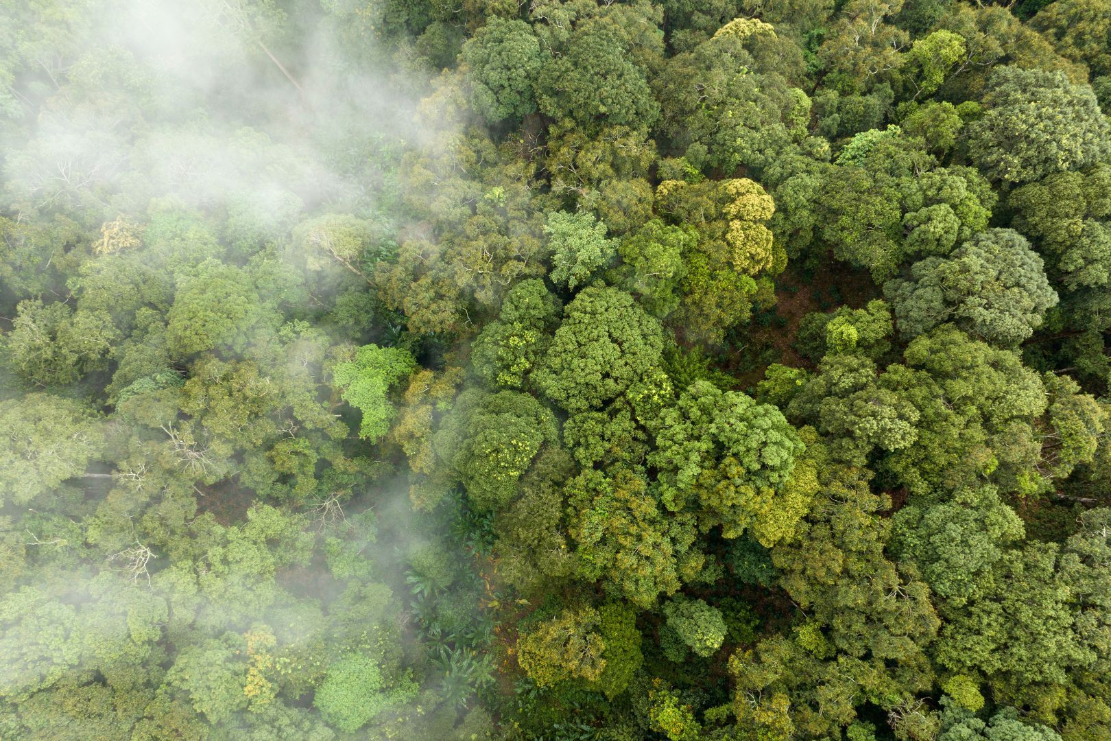 Immagine copertina Il prezzo delle emissioni: come il rischio climatico cambia i tassi d'interesse.