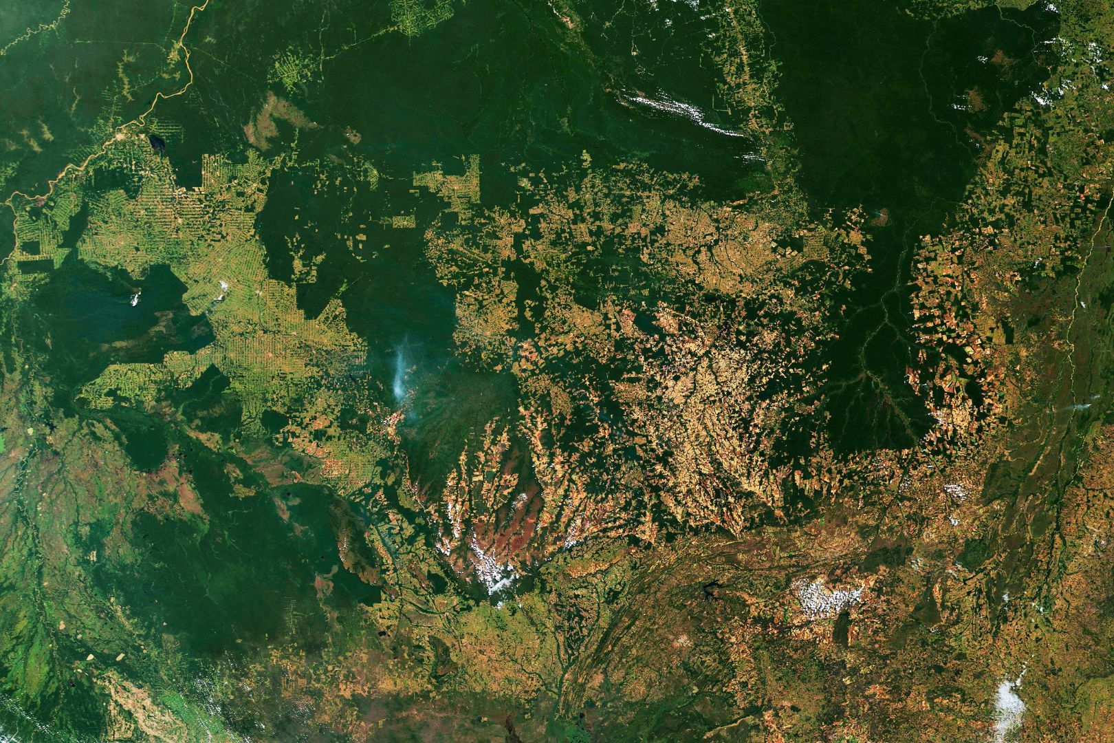 Immagine copertina Tecnologia per EUDR: strumenti di tracciabilità e monitoraggio per filiere deforestation-free