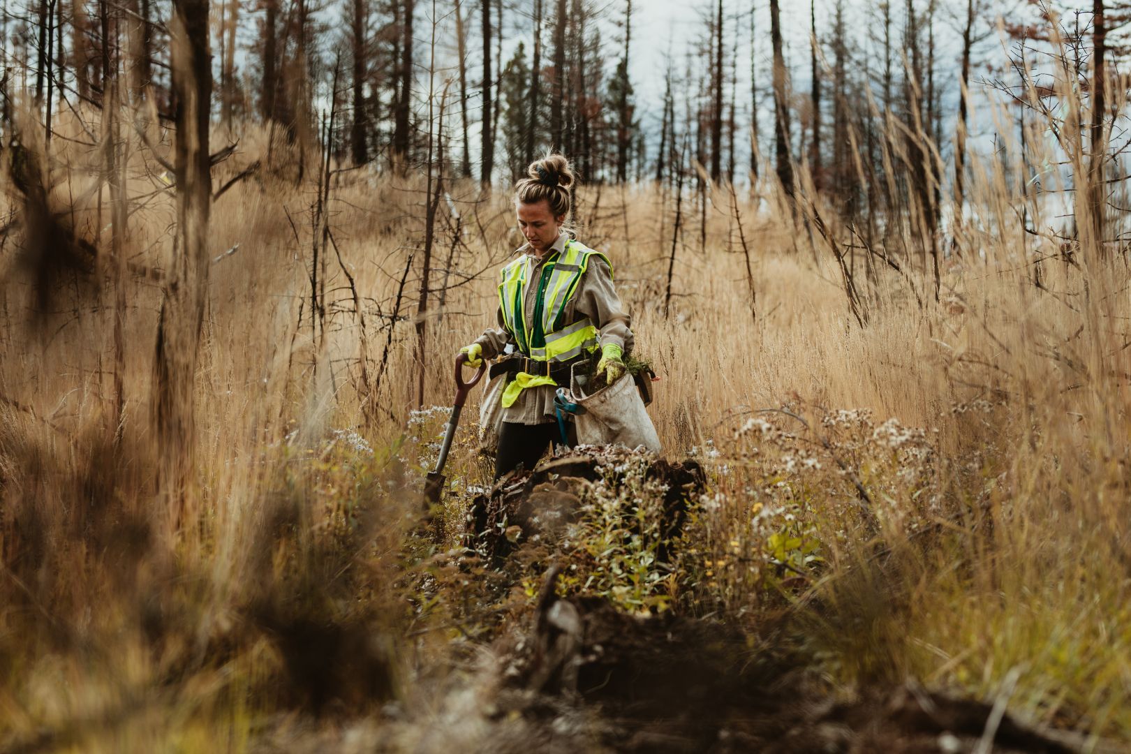 Immagine copertina EUDR e filiere “deforestation-free”: la Roadmap operativa per le imprese